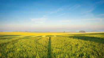 Земельный участок в Решетиловском районе
